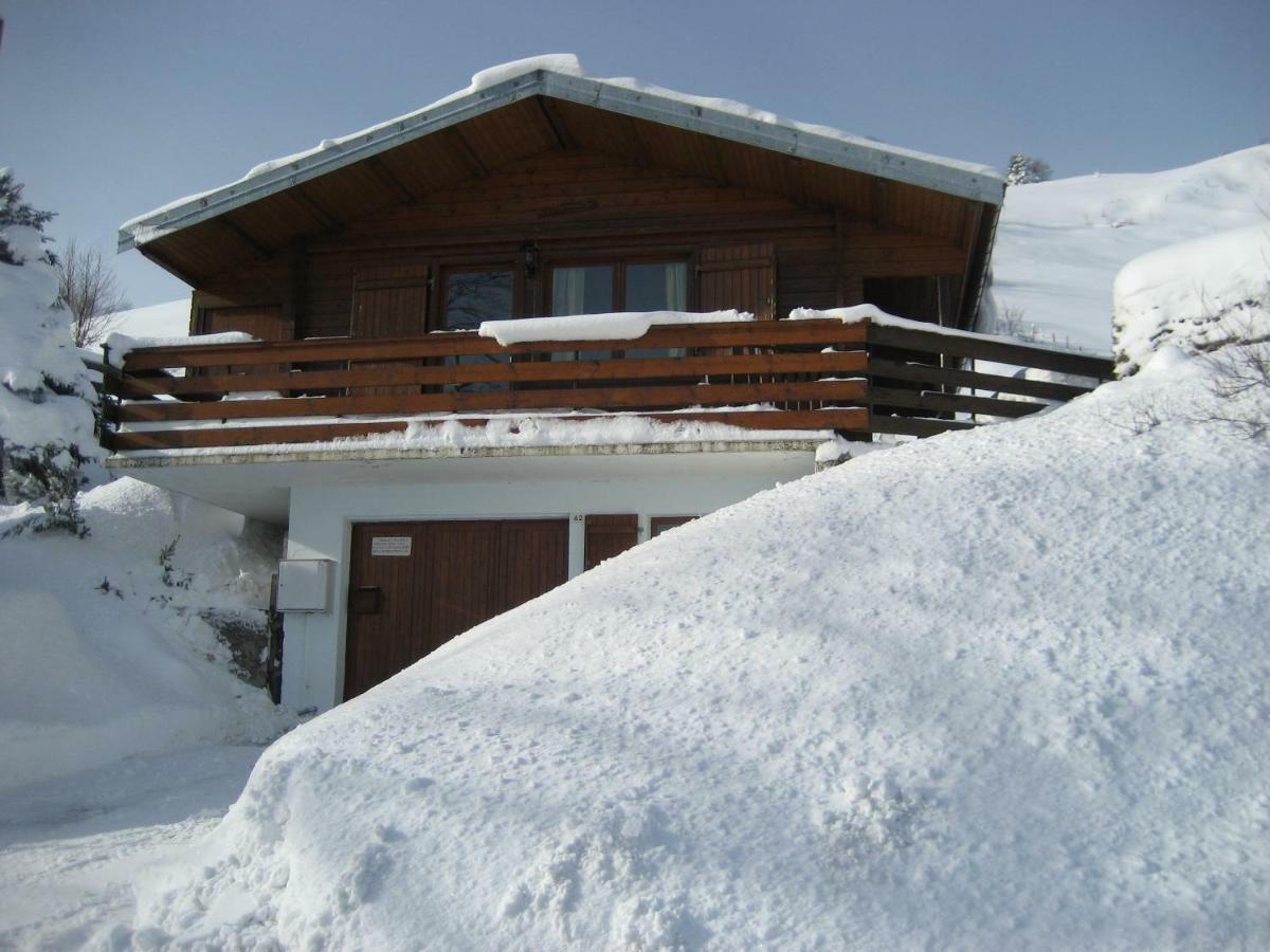 Chalet Les Jonquilles La Bresse Luaran gambar